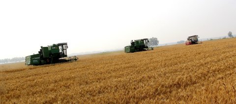 小麥收割機市場遭遇滑鐵盧 行業寒冬下的挑戰與反思